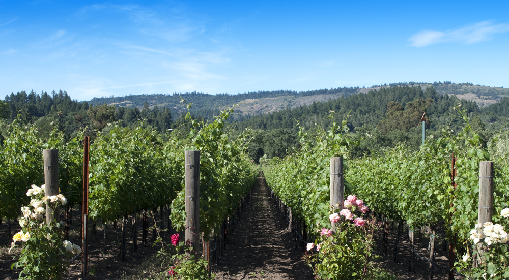 Napa Valley, USA
