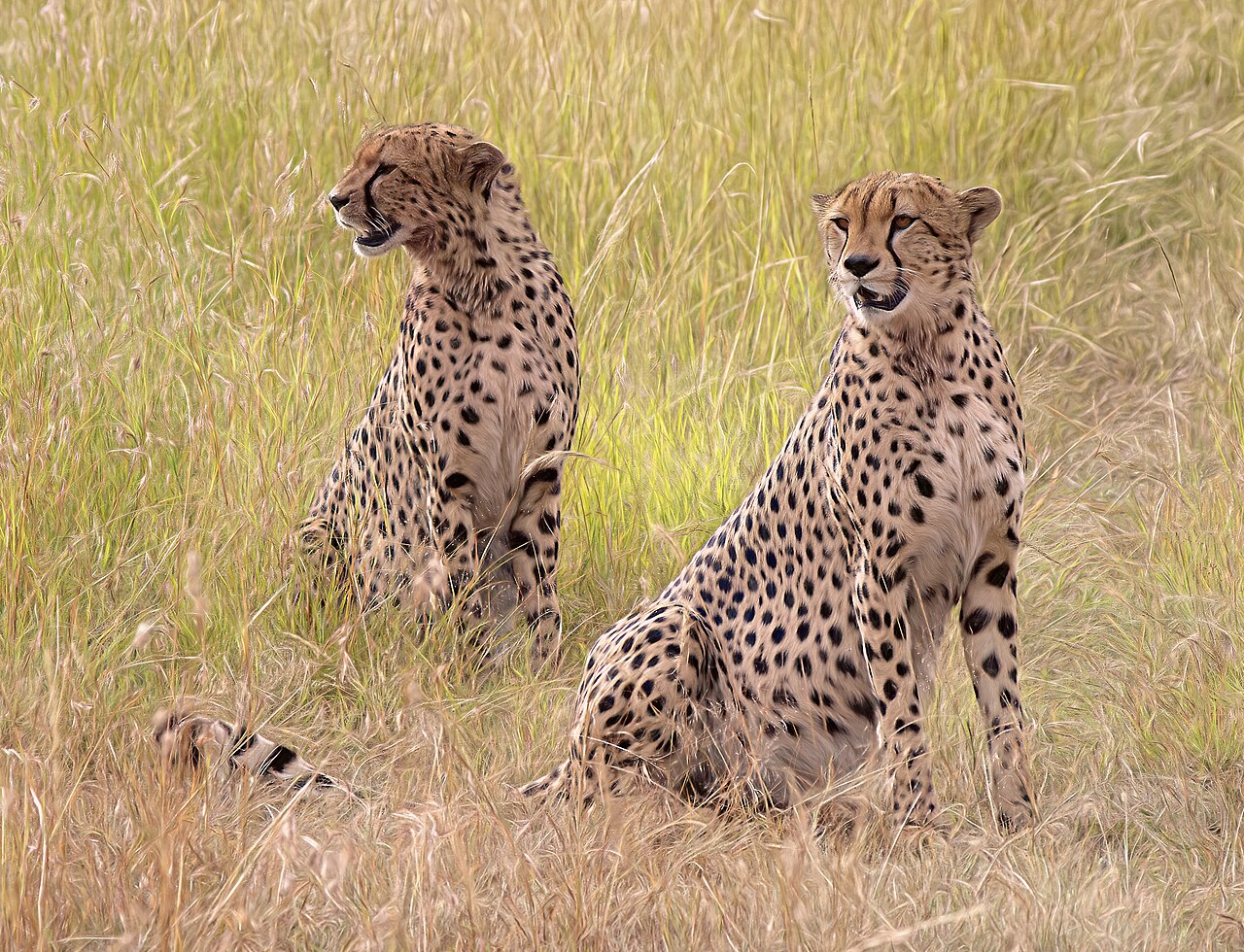 Kenya — travel destination